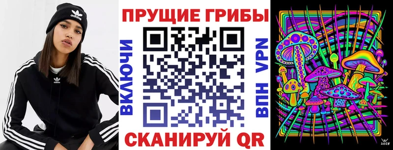 купить наркоту  Бабушкин  Псилоцибиновые грибы Psilocybine cubensis 